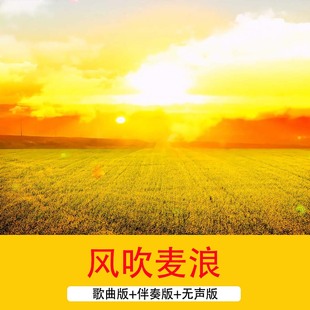 2K《风吹麦浪》秋天金黄色丰收舞蹈舞台LED歌曲配乐伴奏背景视频
