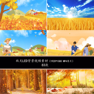 秋天唯美LED背景立秋秋分背景秋天丰收背景秋天伤感背景视频素材