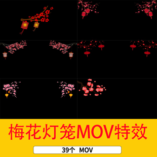 梅花枝随风摇摆MOV带通道梅花灯笼循环摇摆红梅花枝灯笼视频素材