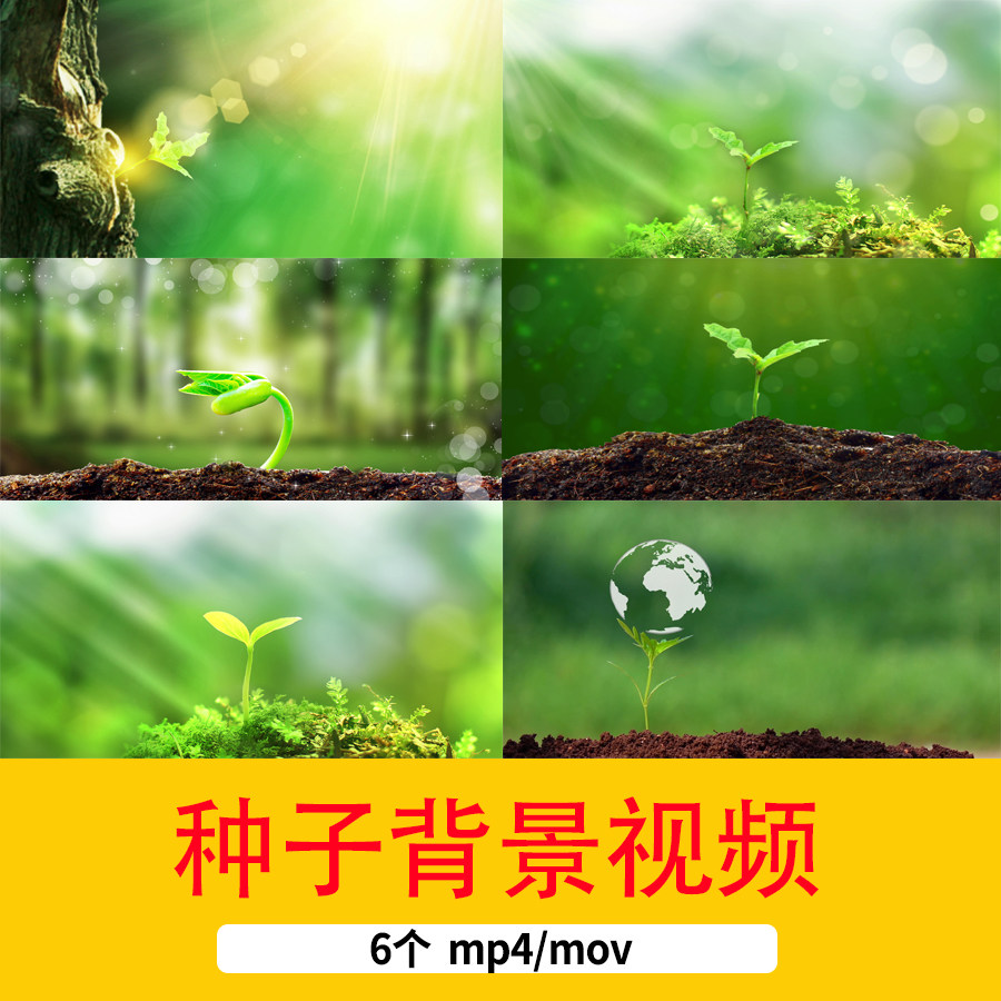 春天绿色植物生长背景视频环保绿色生机勃勃种子发芽生长视频背景