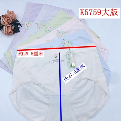 内裤青年莫代尔女玉姿一族大版