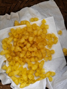 蜜蜂中蜂王台基王台杯育王杯中蜂育王台基