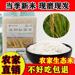 新米2025连州大米连山梯田香米象牙米油粘米清远丝苗米农家生态米