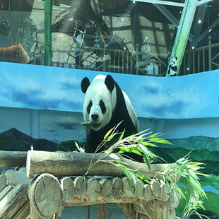 哈尔滨亚布力滑雪场熊猫馆门票