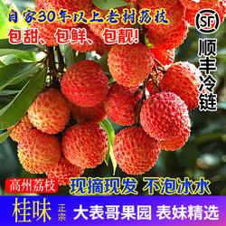 [大表哥]正宗高州荔枝老树白糖罂妃子都笑新鲜采摘水果桂糯米味糍