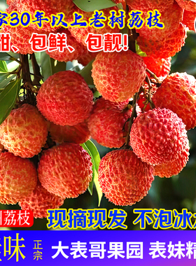 [大表哥]正宗高州荔枝老树白糖罂妃子都笑新鲜采摘水果桂糯米味糍