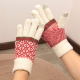 日本羊毛加绒加厚保暖手套女冬分指触屏复古花纹撞色条纹户外防寒
