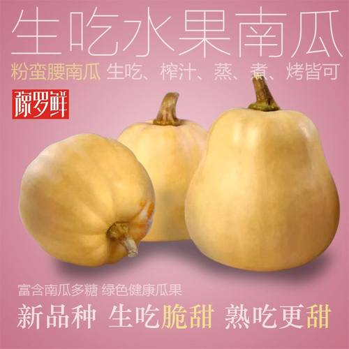 可生吃水果南瓜正宗新鲜粉蛮腰南瓜糖度高即食南瓜板栗南瓜1-5斤