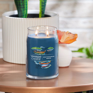 YankeeCandle美国扬基香薰蜡烛氛围感家居卧室内香氛浪漫情调