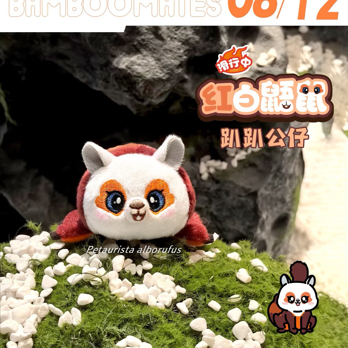 重庆动物园红白鼯鼠代购南京红山森林动物园