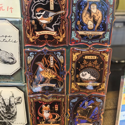 红山动物园动物素描冰箱贴水獭