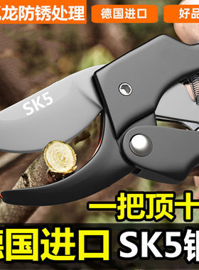 德国进口钢粗枝剪刀滑轮省力修枝剪园艺修花木果树嫁接园林剪工具