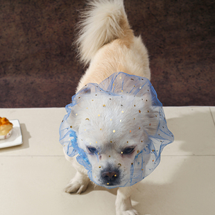 狗狗防误食头纱防偷吃面罩舒适透气中小型犬专用嘴套小狗防舔网套