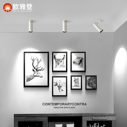 明装吸顶式小射灯led天花灯单家用走廊过道灯COB轨道灯北欧服装店