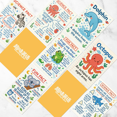 跨境英文Flashcard动物植物科普闪卡趣味可爱卡通插画知识拓展