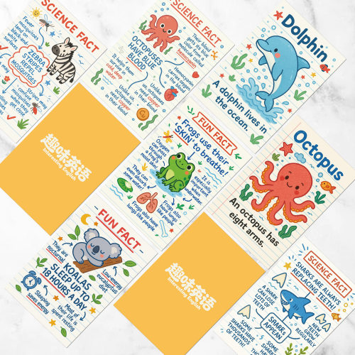 跨境英文Flashcard动物植物科普闪卡趣味可爱卡通插画知识拓展