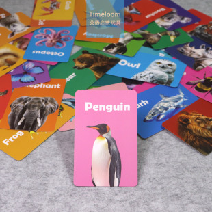 跨境英语启蒙Flashcardf写实动物闪卡问答蔬菜字母水果英文教具