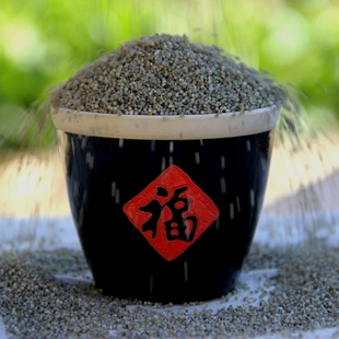 黑小米农家自产2025年陕北延安米脂黑小米包邮山西特产新黑米5斤