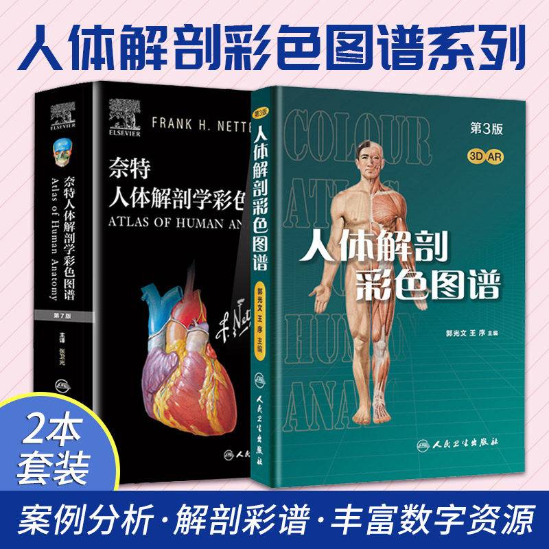 奈特人体解剖学彩色图谱第七版 人体解剖彩色图谱第三版两本套装人民卫生出版社脊神经根与椎骨的对应关系神经与血管