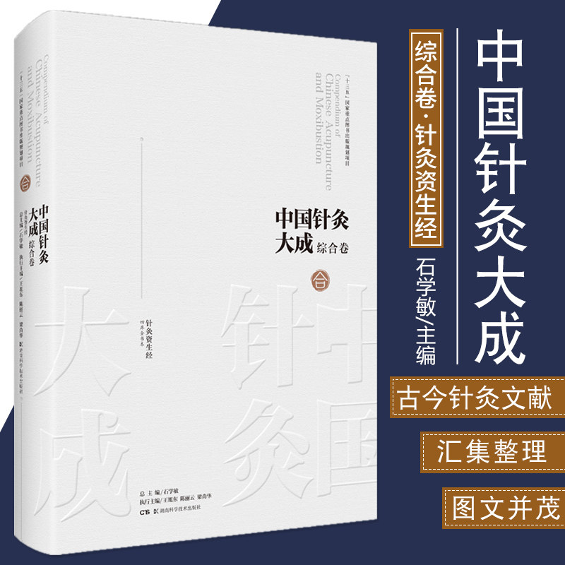 中国针灸大成综合卷 针灸资生经 石学敏主编 大型针灸学术资料类编 针灸文献汇集整理 湖南科学技术出版社 9787571008086