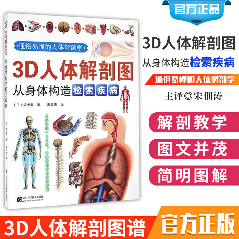 人体肌肉解剖运动 解剖学 断层局部解剖学 图谱解剖书教材 卫生解剖