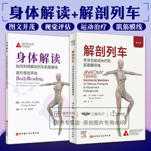 两本套装 解剖列车手法与运动治疗 如何利用解剖列车肌筋膜线进行视觉评估 肌筋膜经线第4版 人体解刨彩色肌肉功能测试 身体解读