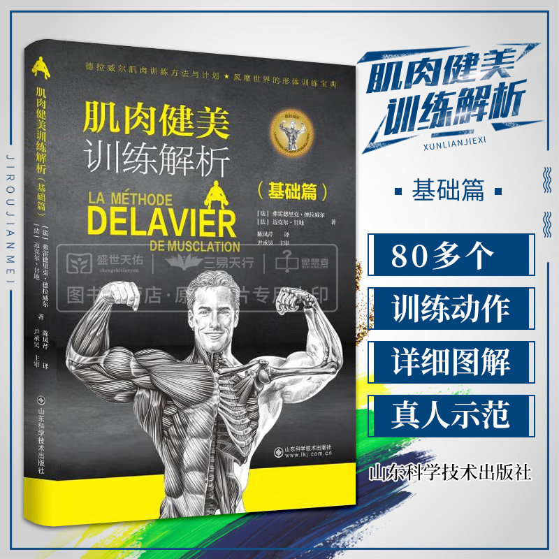 肌肉健美训练解析 基础篇 陈凤琴译 80多个常用健身动作锻炼手臂肩膀背部肌大腿前侧肌肉大腿内侧肌肉等 山东科学技术出版社