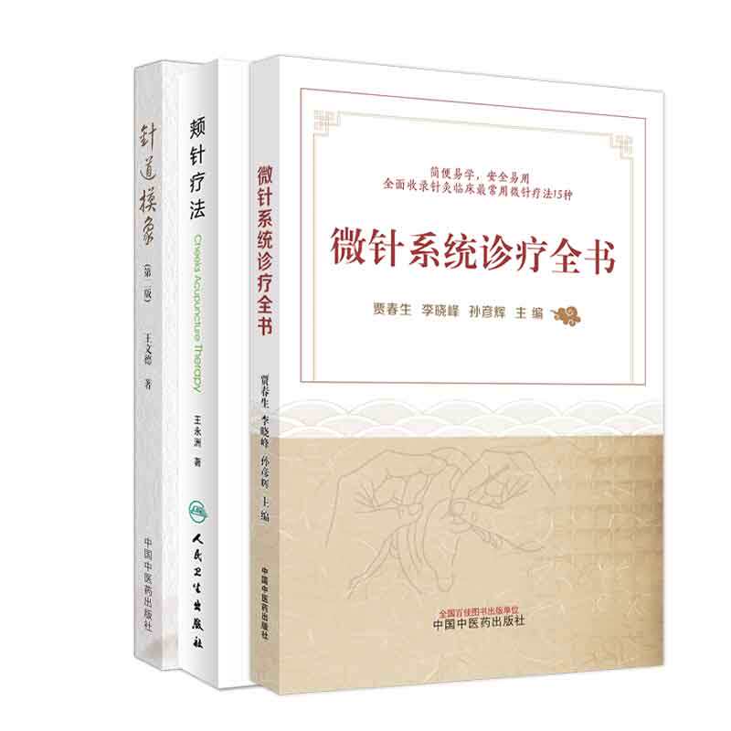 全3册 针道摸象 颊针疗法 王永洲著 微针系统诊疗全书 经纬奇正取穴法