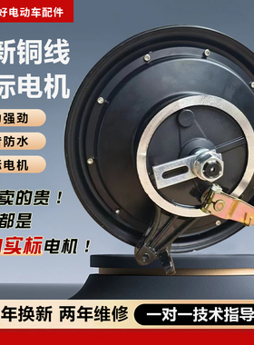 电动车电机10寸国标48V60V72V8001000W大功率电瓶车电摩后轮电机
