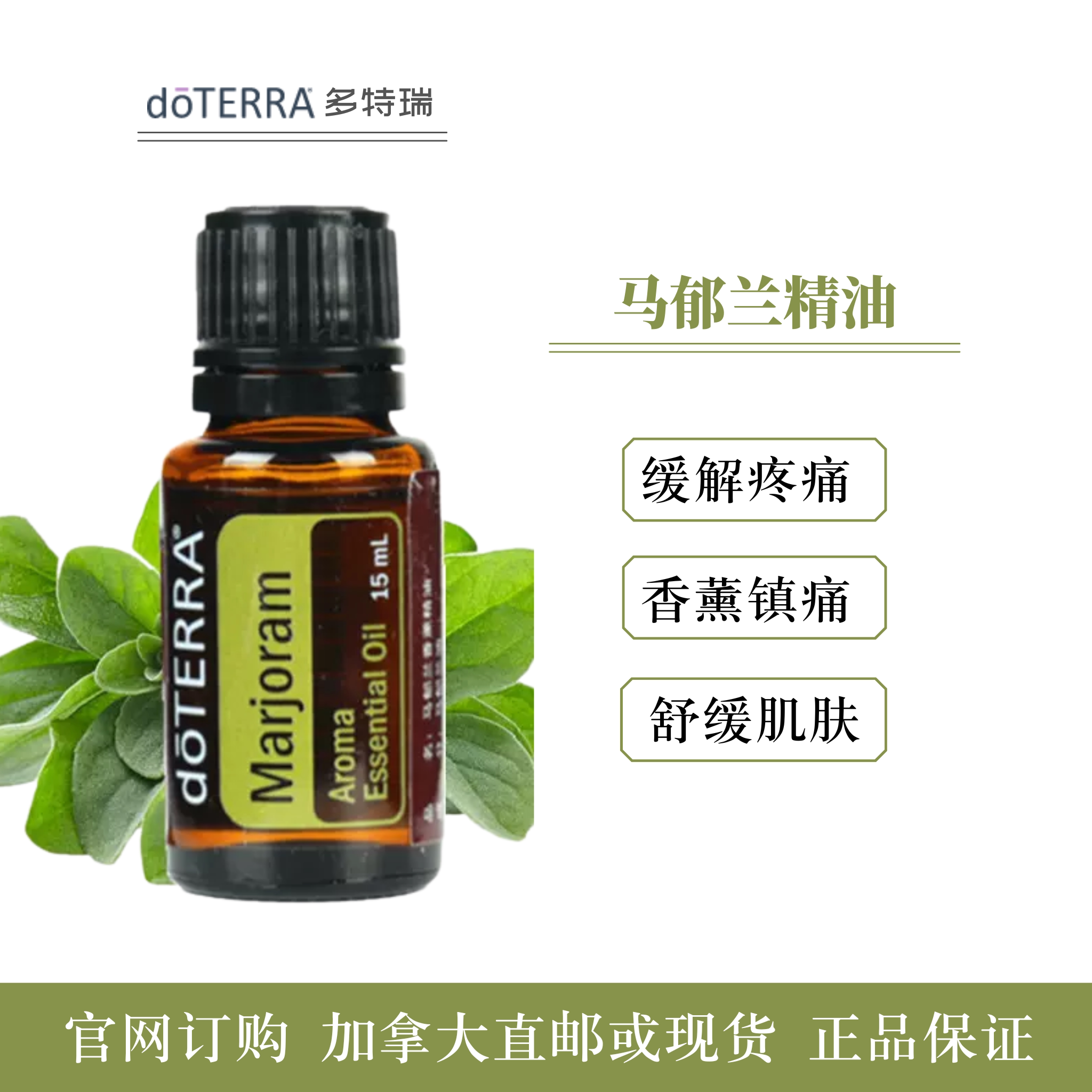 doterra多特瑞马郁兰香薰精油15mlmarjoram偏头痛头紧致提拉补水