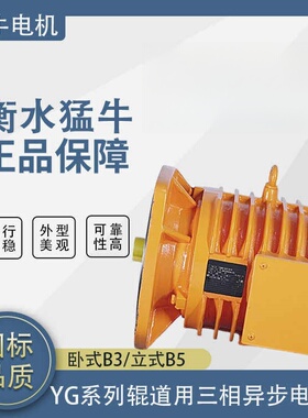 衡水猛牛YG系列辊道用三相异步电动机厂家直销高效节能冶金行业用