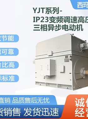 西安泰富西玛电机YJTF5002-6极800KW 380V大功率变频三相异步电机