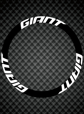 适用反光giantDIY公路自行车轮组轮圈贴纸碟刹圈刹轮毂车胎改色