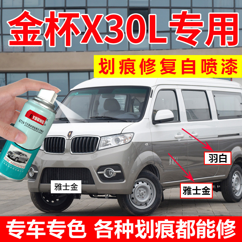 专用金杯小海狮X30L自喷漆雅士金