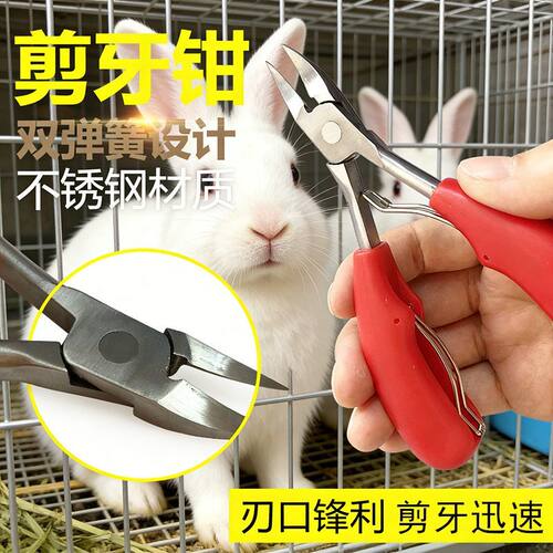 小猪仓鼠兔子剪牙器松鼠龙猫兽用断牙齿钳不锈钢猫狗剪牙钳拔牙