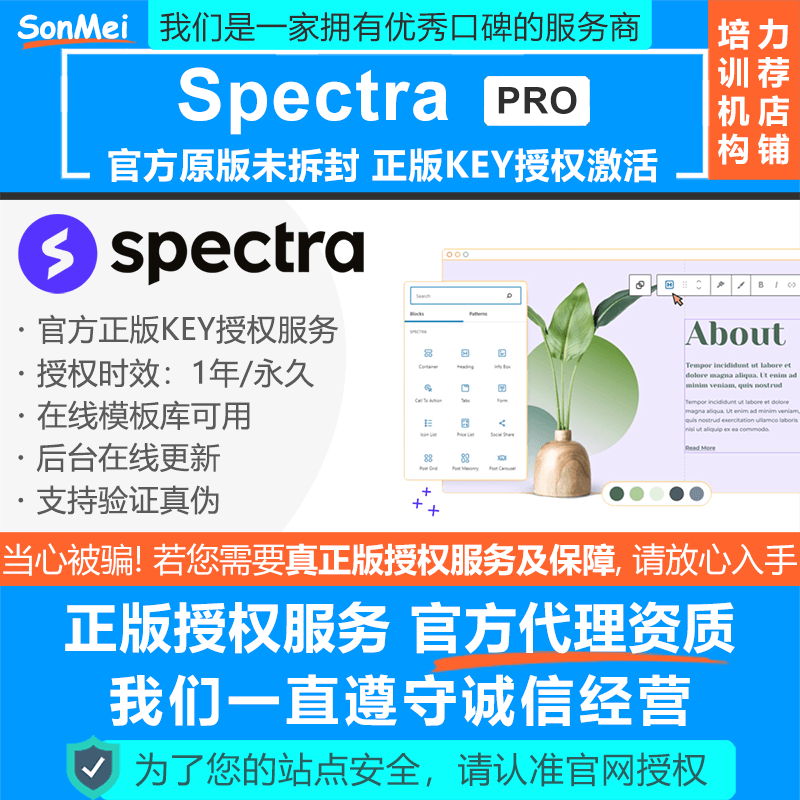 Spectra Pro官方正版授权Key激活光谱古腾堡块编辑器插件轻量快速