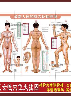 人体标准经络穴位图大挂图中医针灸穴位海报女 美容保健墙贴挂画
