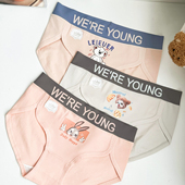 女士三角裤 探路猫 5A抑菌A类婴儿棉高开叉运动风中腰纯棉内裤 少女