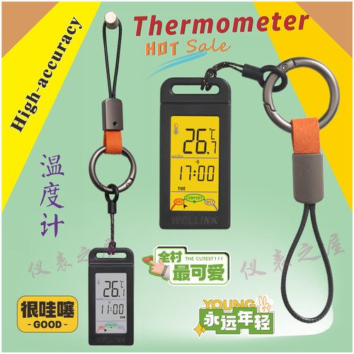 多用途温度计寰翎迷你数显温度计