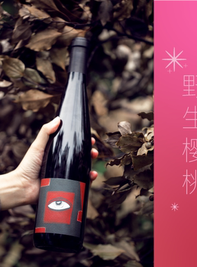 自然酒/森系浆果-Pinot Noir法国阿尔萨斯黑皮诺盯盯干红葡萄酒