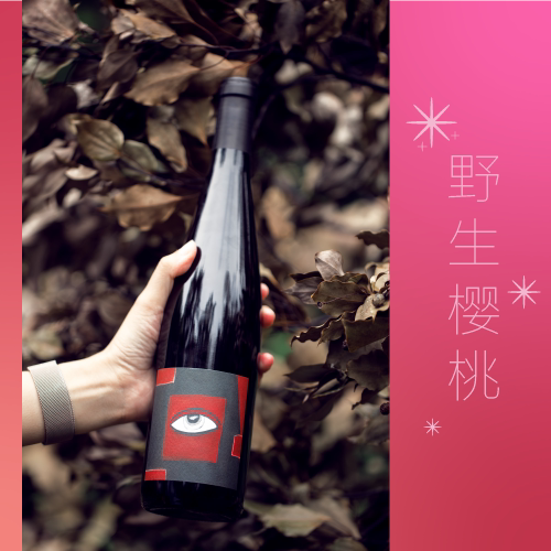 黑皮诺里奇酒庄自然酒活泼有趣