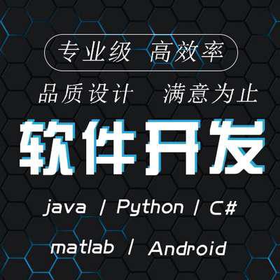 计算机程序设计java代做python编程系统软件qt代码编写php开发c#