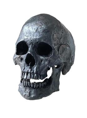 骷髅戒指铁头的店纯银精细款男士