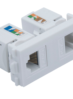 双口 CAT6 RJ45 打线式模块