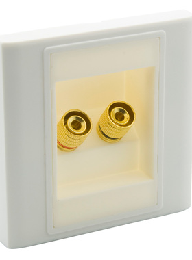 86型 欧式 功放插座 1.0音箱面板