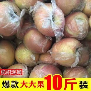 红富士膜袋苹果陕西当季 9斤装 新鲜水果脆甜多汁产地直发净重5斤