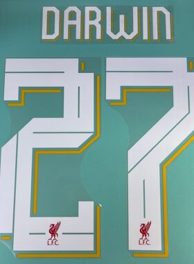 利物浦 2022-23 主埸 原裝 歐冠印字 Avery Dennison DARWIN