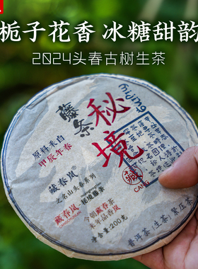 藏春岚2024年秘境藤条普洱茶生茶古树挑采 栀子花香生普饼茶200克