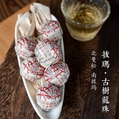 拔玛古树生茶龙珠香高韵长161克
