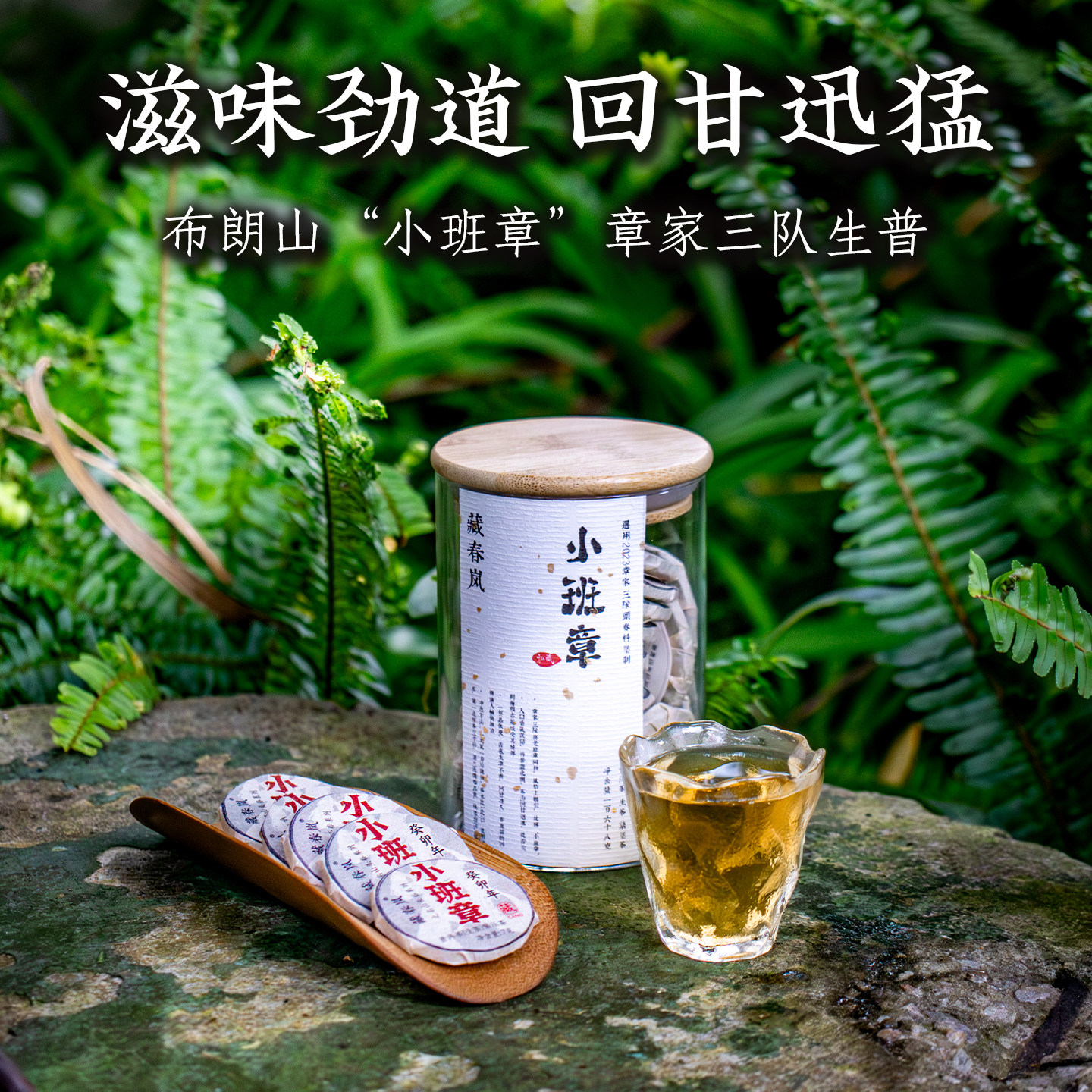 章家三队滋味厚重生茶24片